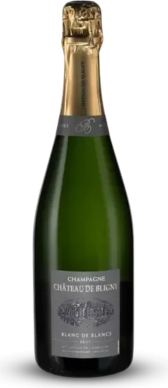 Champagne Brut Blanc de Blancs - Château de Bligny Effervescent